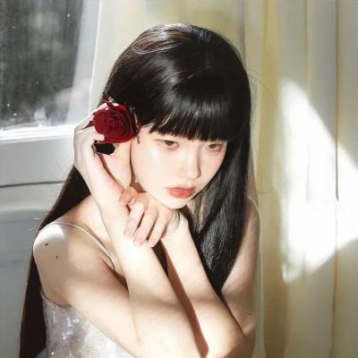 博莱罗